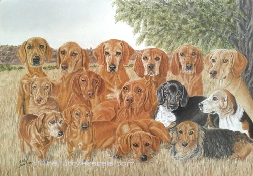 Group of 15 Dogs mainly Vizslas Pastel Portrait Painting in soft pastels - The Furry Rascals, Cyprus